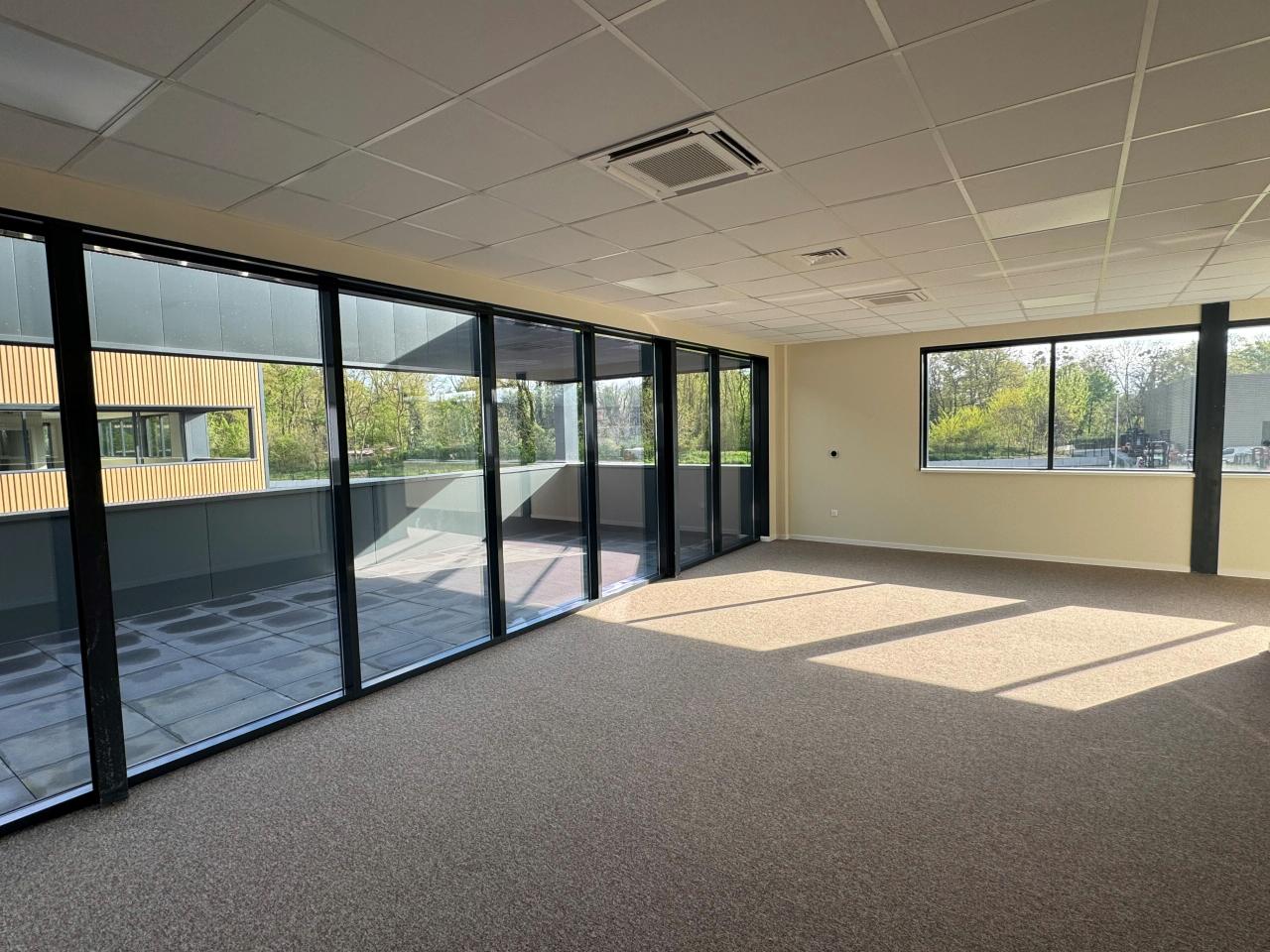Local d'activité Geispolsheim 2996m² Location local d'activité Geispolsheim Bas-Rhin OLACT2420594 12